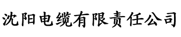 秋霞久久久影院电缆厂logo